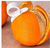 Натисніть на зображення для збільшення. 

	Назва:	Free-shipping-Orange-Peeler-Fruit-Peeler-Lemon-Peeler-Citrus-Peeler-50pcs-lot.jpg 
	Переглядів:	0 
	Розмір:	22.5 Кб 
	ID:	2602