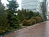 Натисніть на зображення для збільшення. 

	Назва:	IMG_20160304_124057_994.jpg 
	Переглядів:	0 
	Розмір:	162.3 Кб 
	ID:	7499