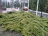 Натисніть на зображення для збільшення. 

	Назва:	IMG_20160304_124524_975.jpg 
	Переглядів:	0 
	Розмір:	238.5 Кб 
	ID:	7506