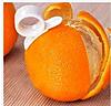 Натисніть на зображення для збільшення. 

	Назва:	Free-shipping-Orange-Peeler-Fruit-Peeler-Lemon-Peeler-Citrus-Peeler-50pcs-lot.jpg 
	Переглядів:	0 
	Розмір:	22.5 Кб 
	ID:	2602
